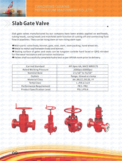 Slab gate valve 